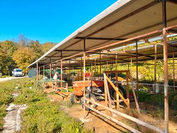 CAPANNONE/TETTOIA in ferro