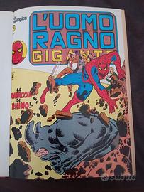 fumetti uomo ragno gigante  anni 70