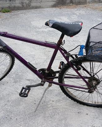 Bici bicicletta donna usata