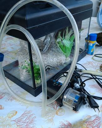 acquario 20 litri completo di accessori 