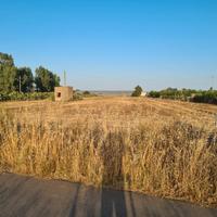 Terreno Agricolo