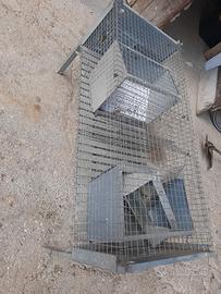 gabbia per galline / conigli