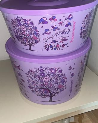 Tupperware contenitori