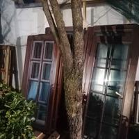 finestre e porte finestre in legno