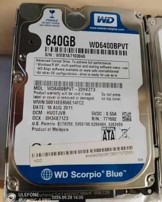 hd per pc portatili e fissi
