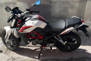 BENELLI BN251