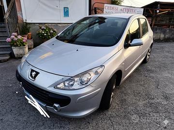  Peugeot  307