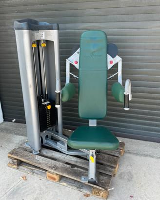 Nautilus  lateral raise