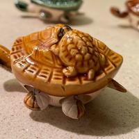Tartarughe in ceramica smaltata