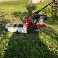 Trinciaerba  Minieffe