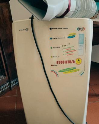 climatizzatore portatile 