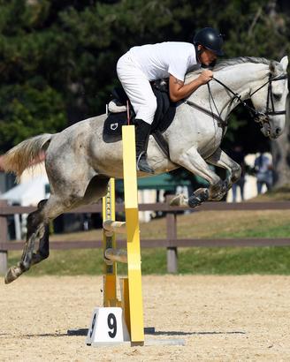 Cavallo
