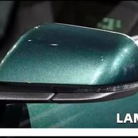 cover specchi retrovisori mustang 