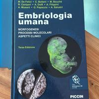 Embriologia Umana – De Felici