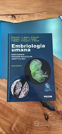 Embriologia Umana – De Felici
