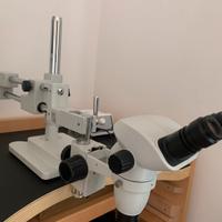 Microscopio 'Op SZX-B' binoculare