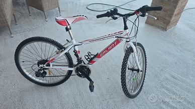 Mountain bike