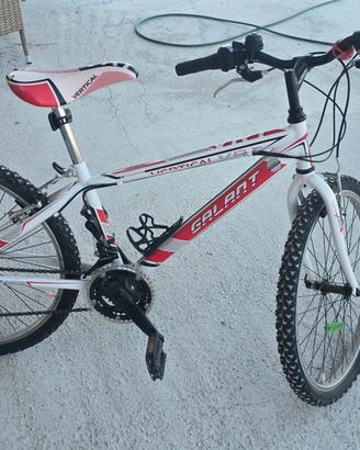 Mountain bike
