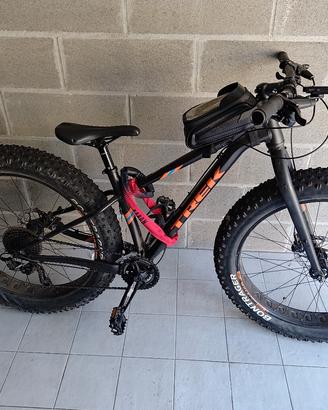 Fat bike 