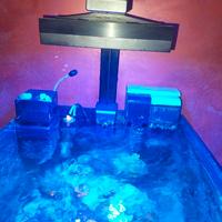 acquario marino 