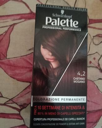 tinta color castano mogano marca palette
