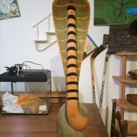serpente in legno porta cd