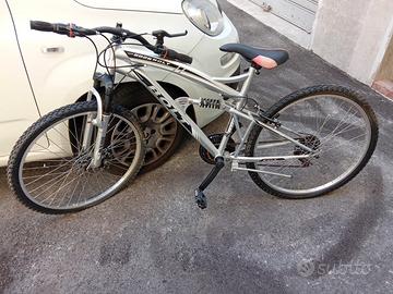 bicicletta 