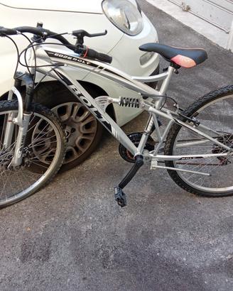 bicicletta 