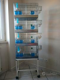 BATTERIA DI 4 GABBIE DA 55 CM CON CARRELLO