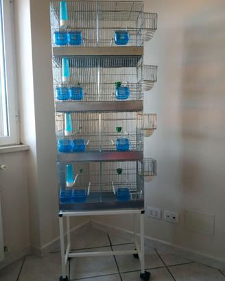 BATTERIA DI 4 GABBIE DA 55 CM CON CARRELLO