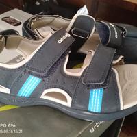 Scarpe geox 