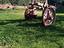 Immagine 1