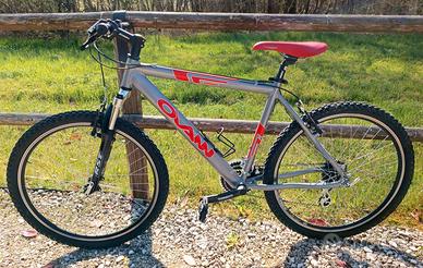 Mountain bike, Shimano 3x8 rapporti, cerchi 26