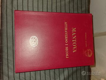 Mantova attraverso i secoli