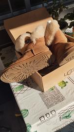 scarponcini ugg numero 38