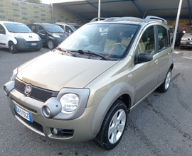 Fiat panda cross