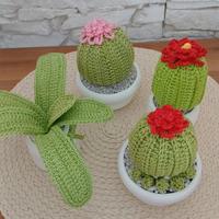 Cactus realizzato a mano