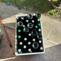 Bottiglie di vino vuote