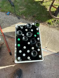 Bottiglie di vino vuote