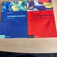 Manuale universitario- Scienze della Comunicazione
