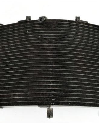 radiatore acqua originale Honda CBR 600 F4 I 01 06