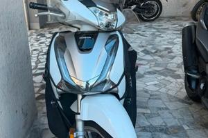 SH 150 color Perla 10/2019 + termoscudo