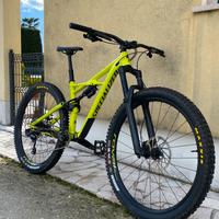 Specialized enduro comp (2019)