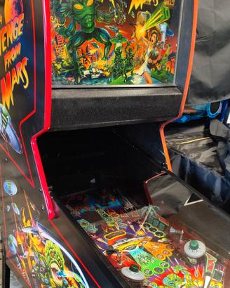 flipper Revenge from mars 