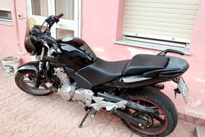 Honda CBF 500 - 2005