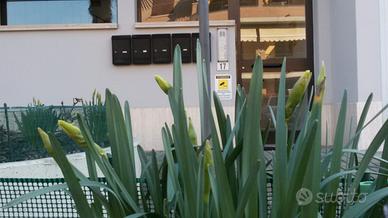 Camera vicino stabilimento ferrari