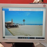 Monitor LCD Samsung 152V 15 Pollici Usato Funziona