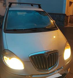 Lancia musa