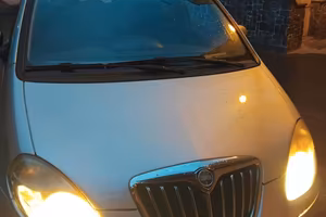Lancia musa