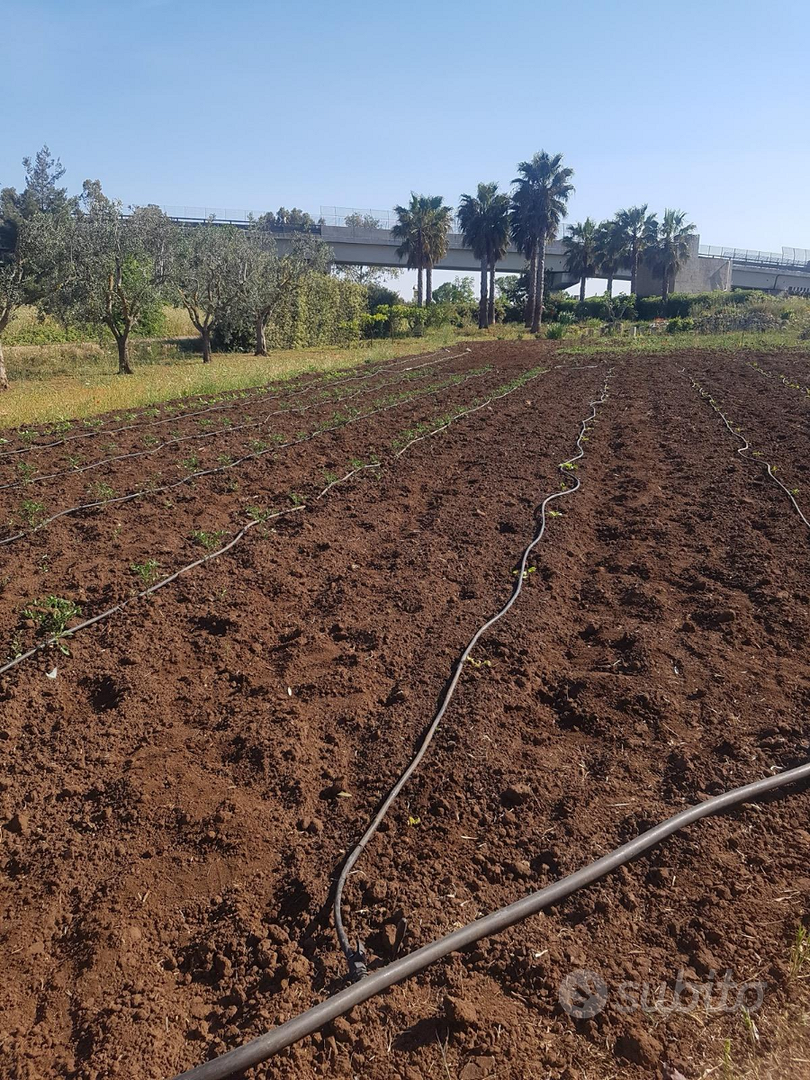 Terreno con casa rurale - Vista 3